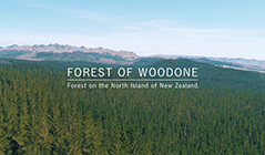 ウッドワン ブランドムービー「FOREST OF WOODONE」
